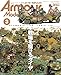 アーマーモデリング編集部: Armour Modelling(アーマーモデリング) 2026年 03 月号