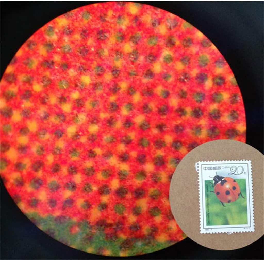 Portable 100x Mini Jewelry Magnifying Glass Microscope Monocular Handle with Gradient