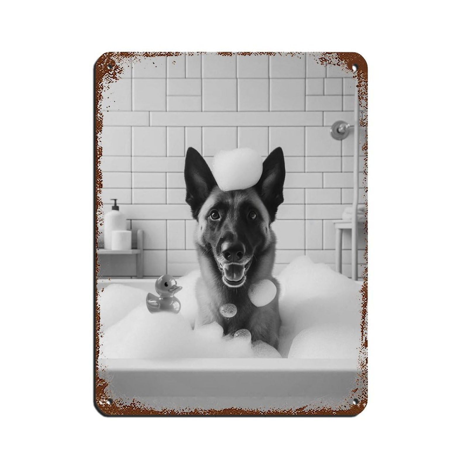 Lxwnze 30L X 40W Cm Bernese Mountain Dog,Funny Bathroom Decor（1） Tin Sign Vintage Metal Pub Club Cafe Bar Home Wall Art Decoration Poster Retro 12X16inch(30X40cm)