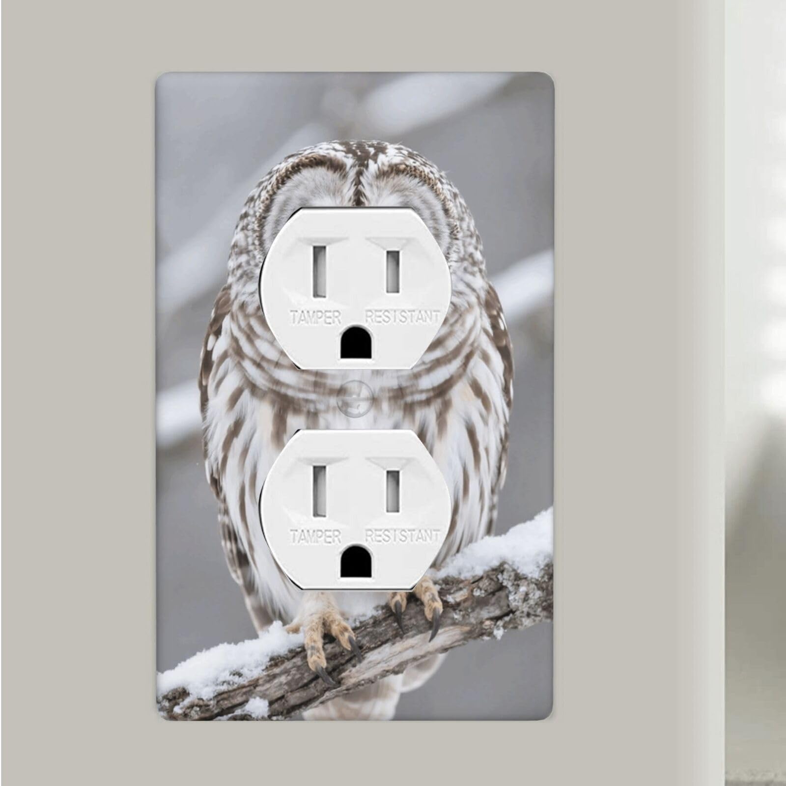Curious Barred Owl Closeup Duplex Outlet Covers Wall Plates 1-Gang Switch Outlet Electrical Cover Plate Unbreakable Polycarbonate Switchplate Cover Faceplate For Bathroom Kitchen Home Decor