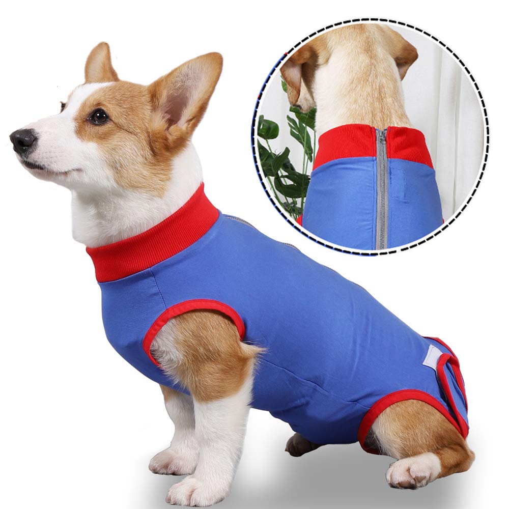 Buy Dog Recovery Suit After Surgery, Abdominal Wounds Bandages Cone ECollar Alternative Soft