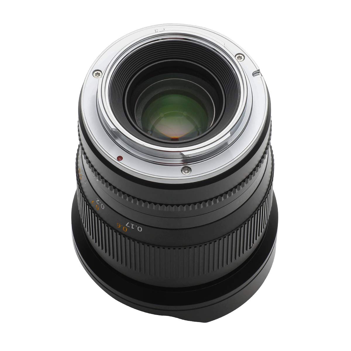 Amazon.co.jp: TTArtisan 11mm f/2.8 Fisheye ED Lマウント レンズ 銘 