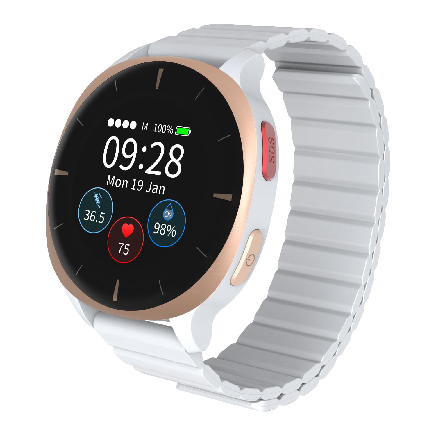 Audar E2 Senioren Smartwatch mit Sturzerkennung&SOS, 24/7-Überwachung von Herzfrequenz/Blutdruck/SpO₂/Temperatur, IoT-KI-basierten Berichten&Verläufen Cloud-Plattform, kein Smartphone/App erforderlich