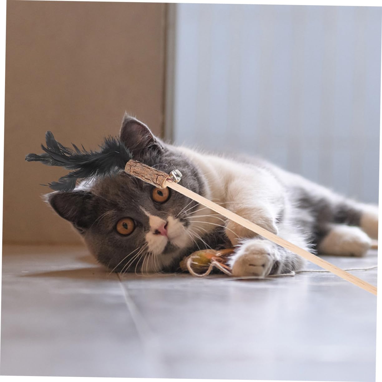 Mipcase 15 Pièces Chat Taquin Baguettes De Chat Tentures Taquineries Drôles Teaser De on Jouet pour Jouets on Jouet De Canne à Pêche pour De Mignon en Bois