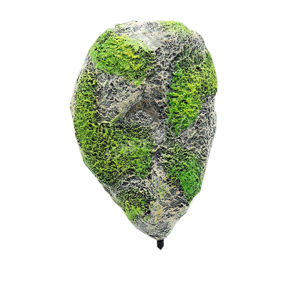 Colcolo Acquario con Rocce Galleggianti E Paesaggio Sospeso, L