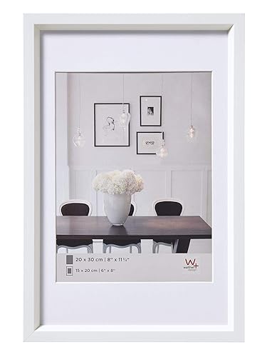 Frames for the Dokomi loot!