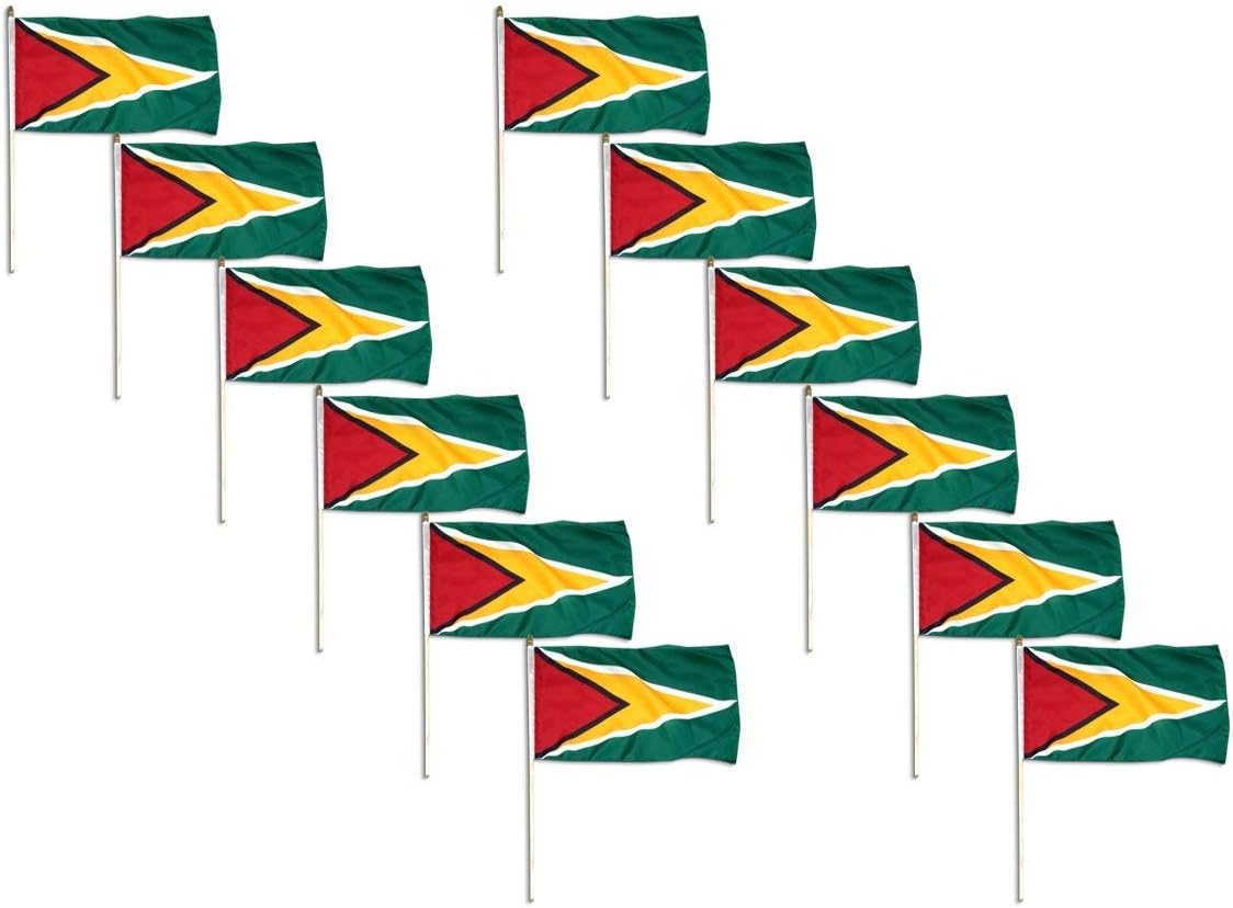 Guyana Flag 12 x 18 inch - 12 PK