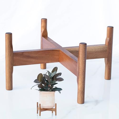 Macaw on Kapok Wood Plant Stand - Fits 8 10
