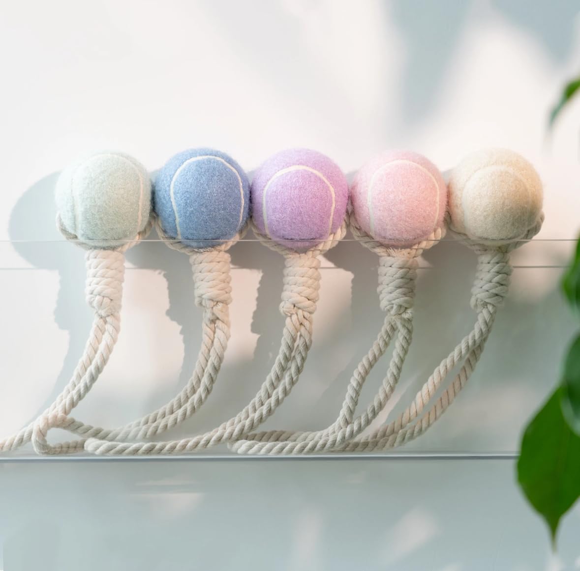 Hundespielzeug, Tennisball mit Seil 32cm in verschiedenen Pastellfarben, interaktives Wurf- und Zerrspielzeug, Zahnpflege, langlebig (Beige)