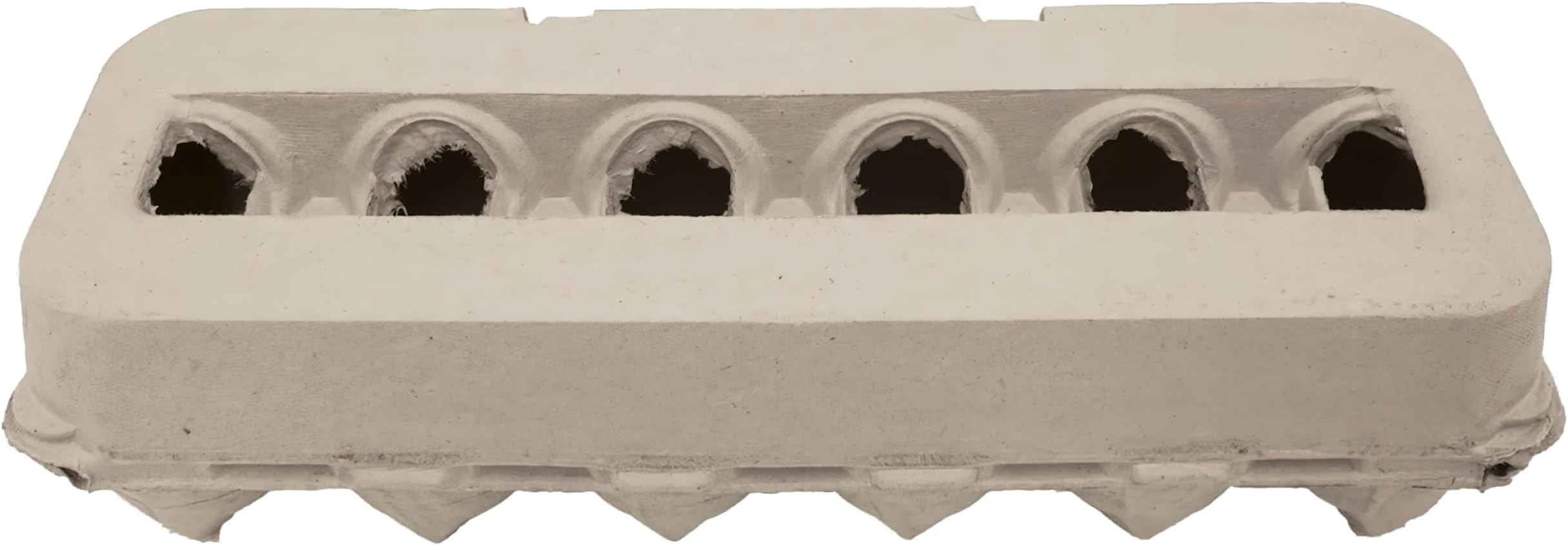Amazon.com: Blank 12-Egg Jumbo Paper Pulp Egg Cartons BULK (50 Pack ...