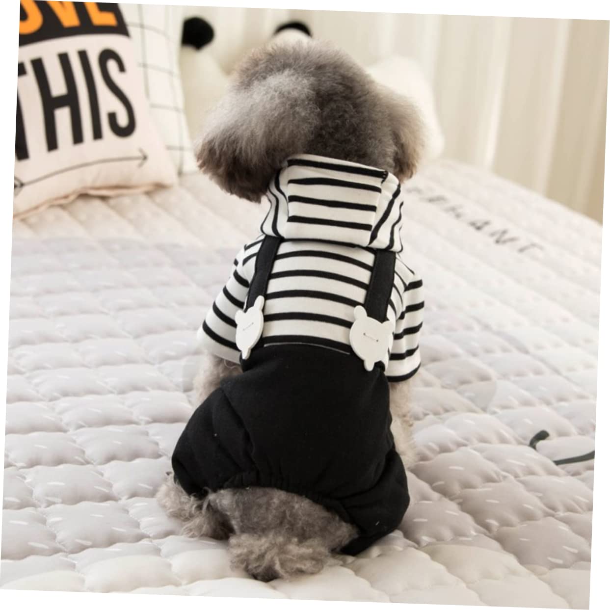 YARNOW 3 Pz costume da cane costume da compagnia vestiti sgargianti giubbotto per cane abbigliamento cane bretella per cani vestiti per cani tenere caldo Tuta da lavoro vestiti del cane