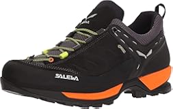 Men's Mountain Trainer Gtx Hiking Shoe