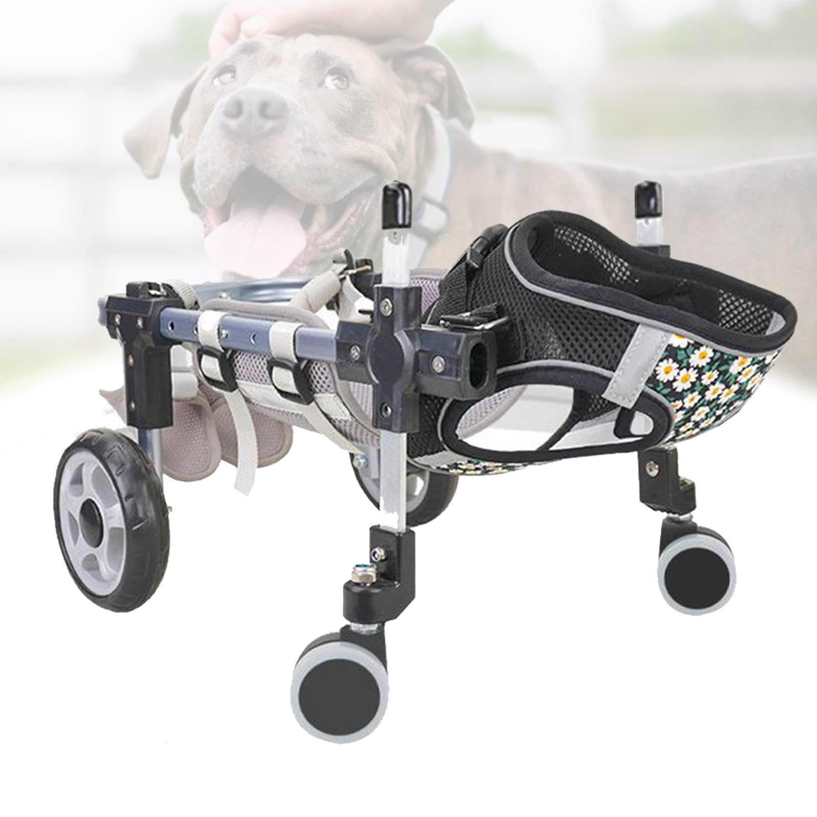 Fauteuil roulant pour chien réglable pour retrouver le plaisir des balades