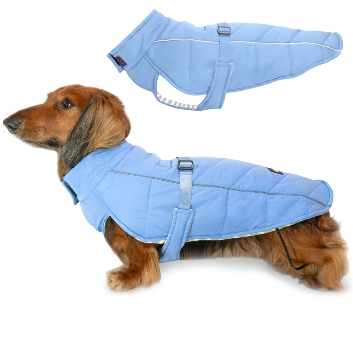 DJANGO Insulated Puffer Dog Jacket with Harness Hole – Warm, Water-Repellent Winter Dog Coat for Small Dogs, Dachshunds, Puppies – Adjustable, Reflective Cold Weather Dog Apparel – Dusk Blue, Medium