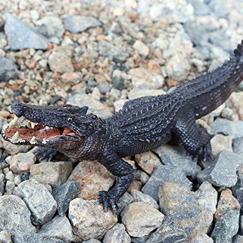 Modèle crocodile KELIEQA, idée cadeau originale pour passionnés de nature - 2