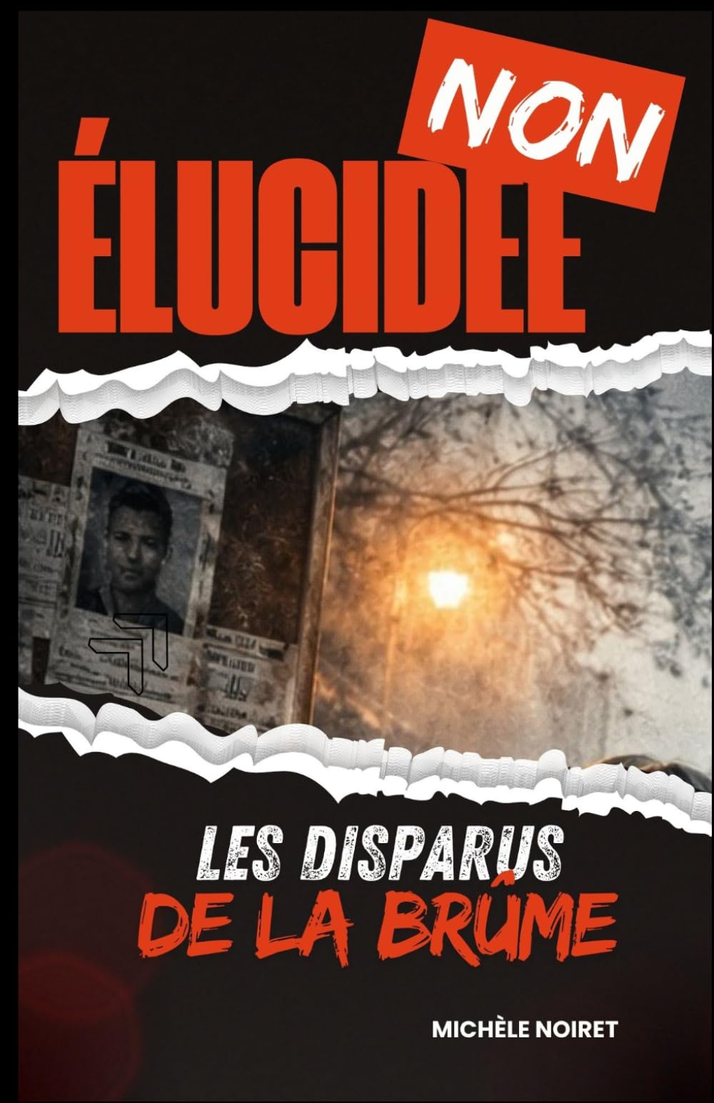 Non élucidée Les Disparus de la Brume: Un livre tendu, sombre, réaliste, où chaque révélation a un prix.