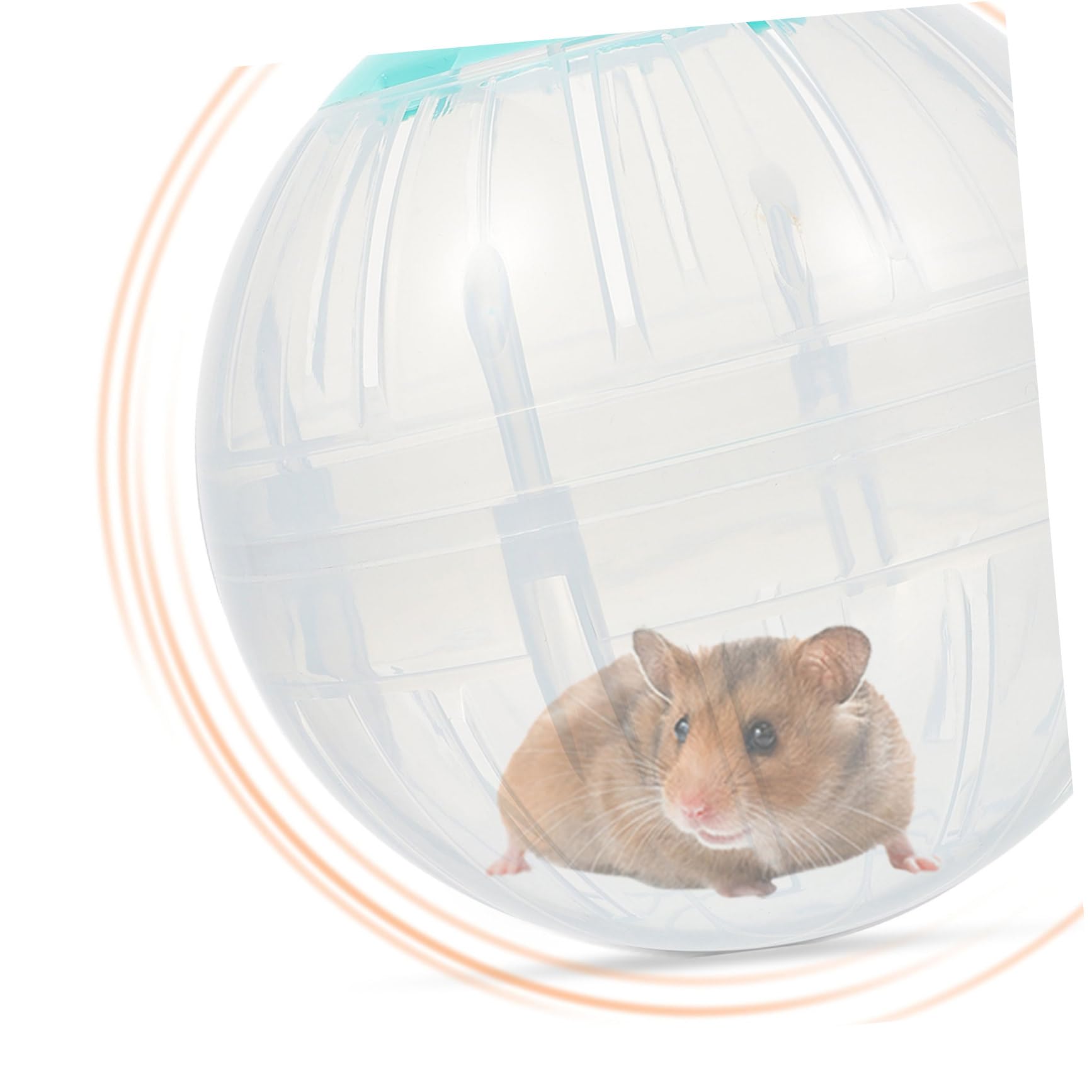 4stücke Hamster Übungsbälle Für Kleine Tiere Transparente Laufräder Für Hamster Und Kleine Nager Fördert Bewegung Und Spiel Langeweile Und Stress