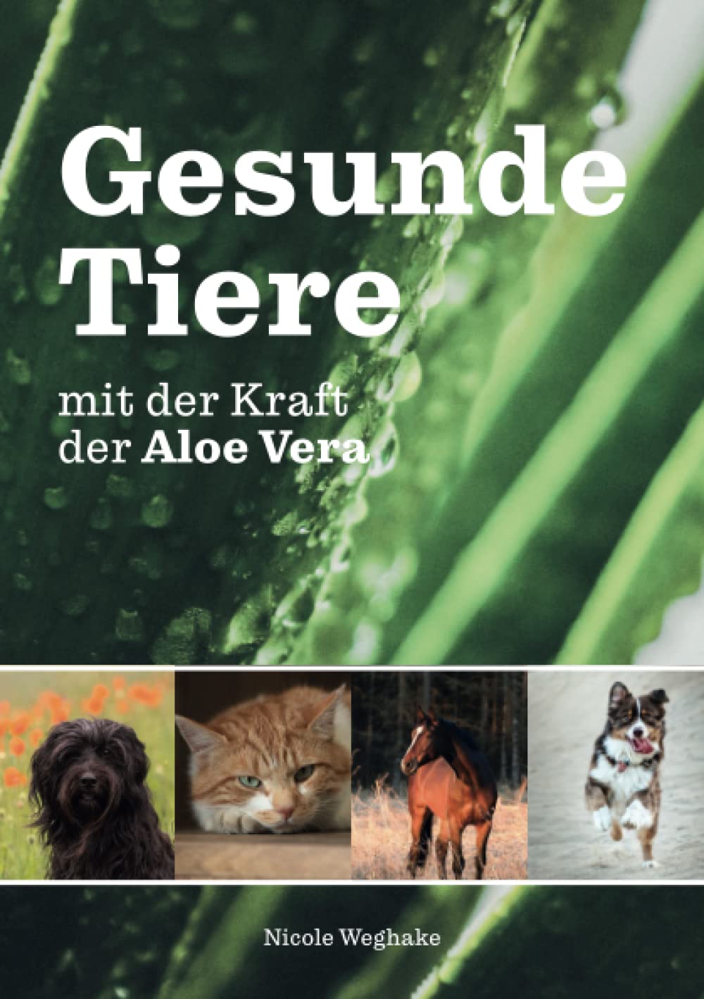 Gesunde Tiere mit der Kraft der Aloe Vera: Wie du die Gesundheit deines  Tieres mit der Kaiserin der Heilpflanzen untersttzen kannst : Weghake,  Nicole: Amazon.de: Bcher