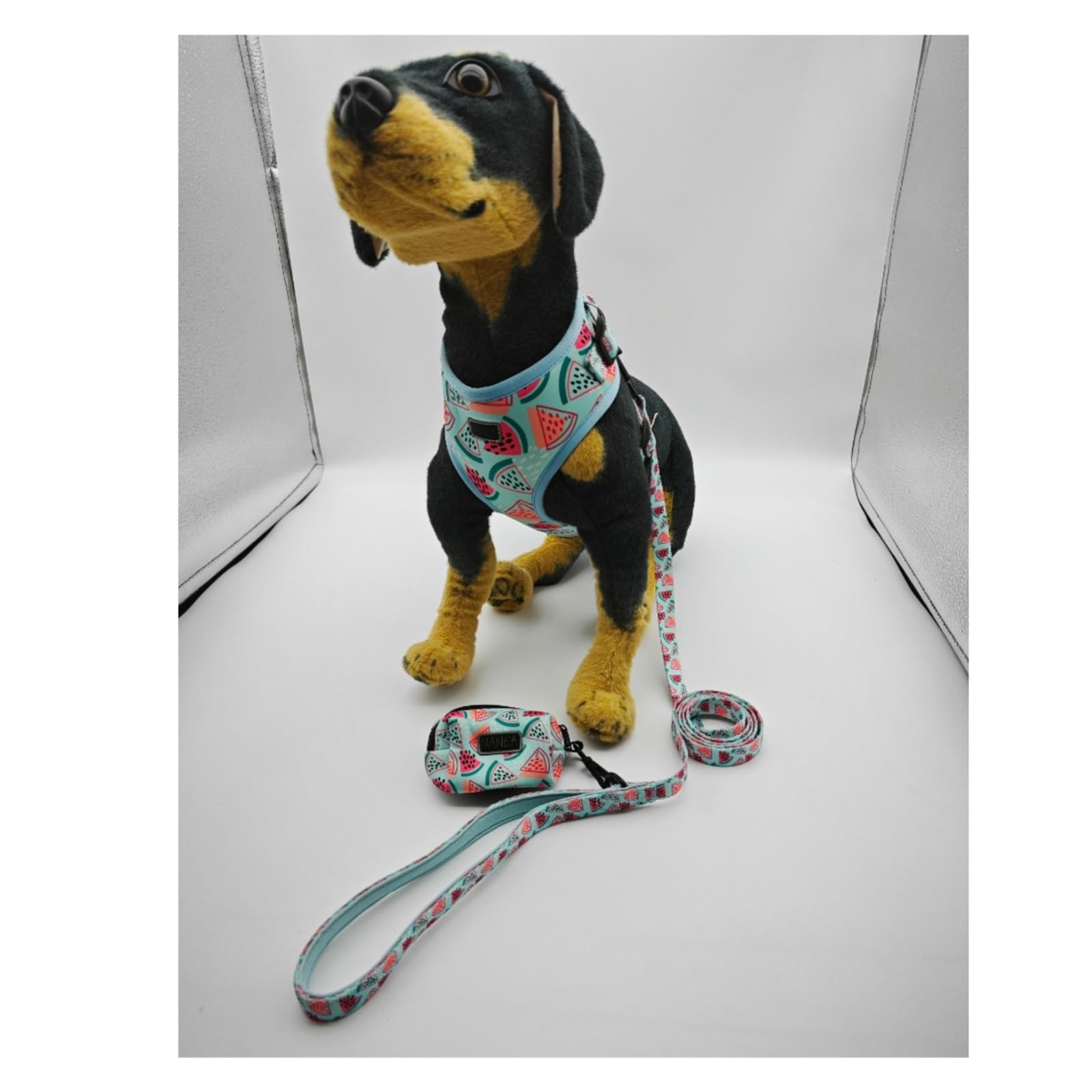 Step-in Geschirr Hundegeschirr Mit Halsband Und Leine, Verstellbar Für Spaziergänge(33-51cm)