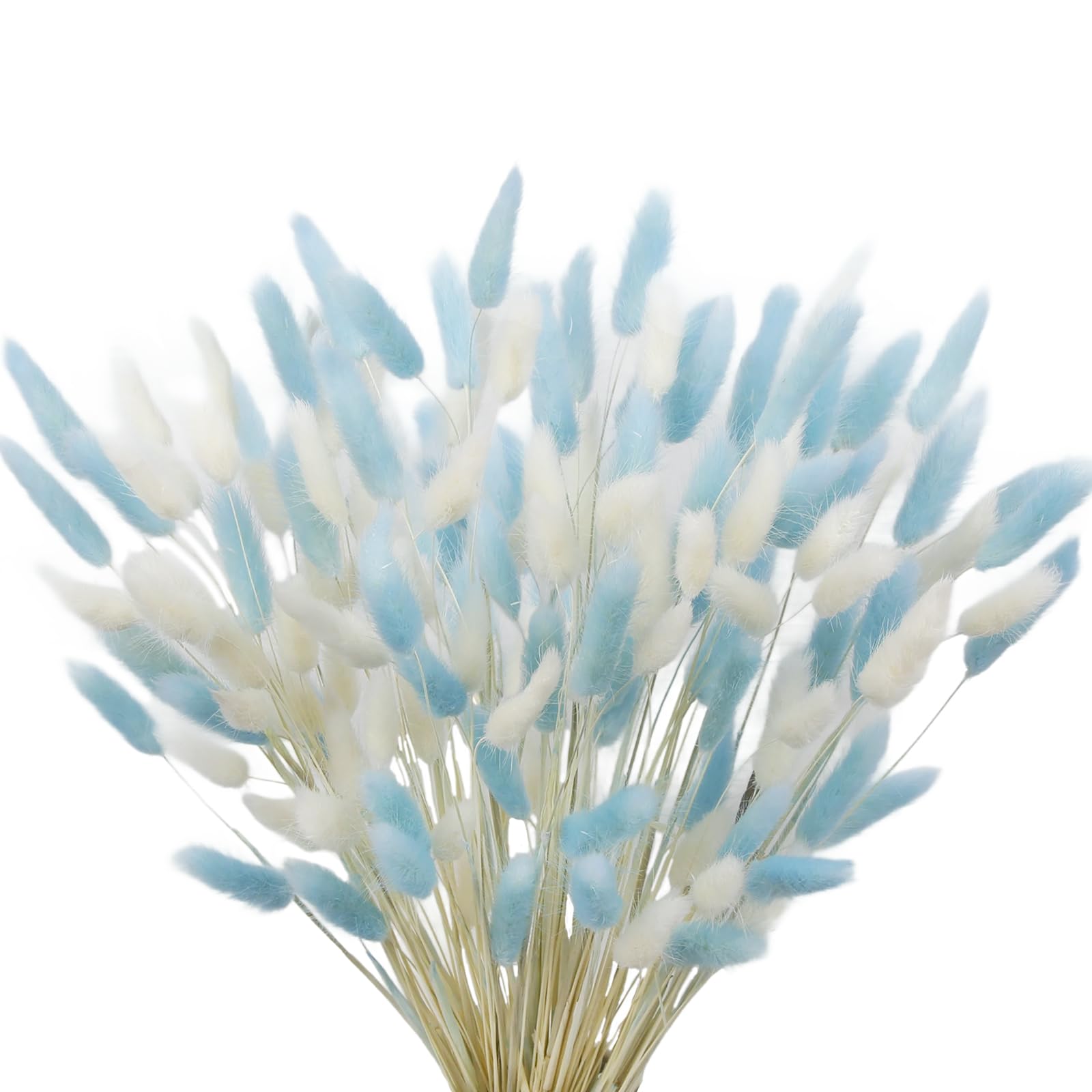 CISDUEO 120pcs Dried Bunny Tails