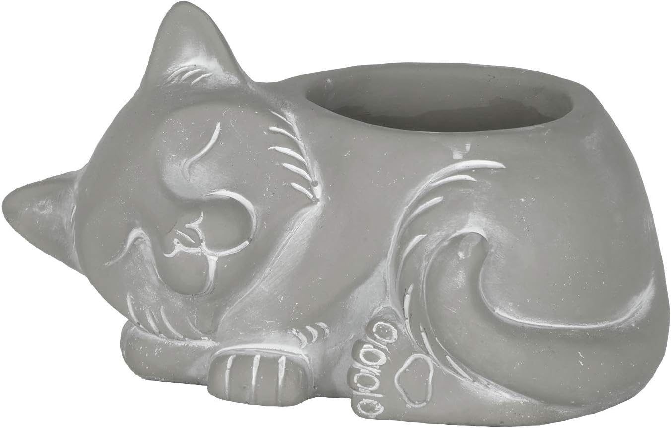 Sass & Belle Mini Vaso Fox – Woodland Baby – Adorabile Volpe In Dolomite Per Piante Grasse, Asilo O Casa – 7,5 X 7 Cm - 2