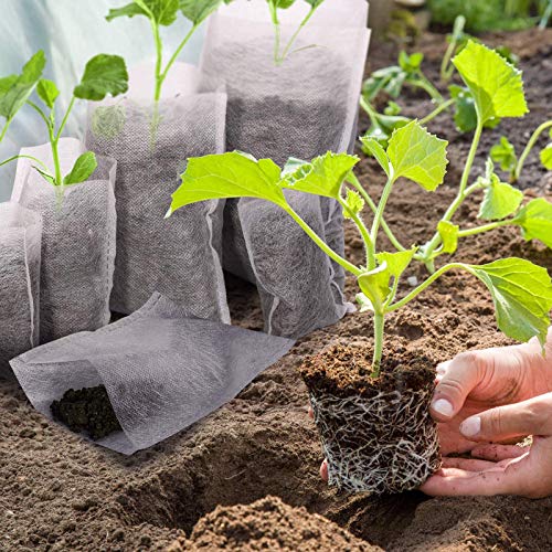 200pcs-Nursery-Bags-PlantBiodegradable-Non-Woven-Plant-Grow-Bags-Fabric-Seedling-Pots-Bags-Plants-Home-Garden-Supply-55x62