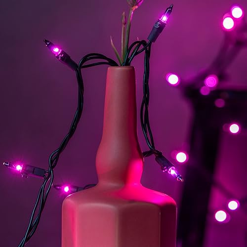 Miniatura 3 de YULETIME Luces de Halloween moradas con cable negro, 66 pies, 200 luces de Navidad con certificación UL, paquete de 2 juegos de 33 pies, 100 luces