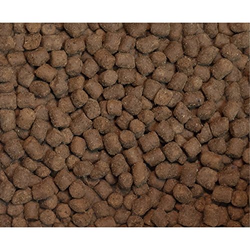 Wysong WDFE90DS5 Ferret Epigen 90 Digestive Support - Dry Ferret Food thumb #2