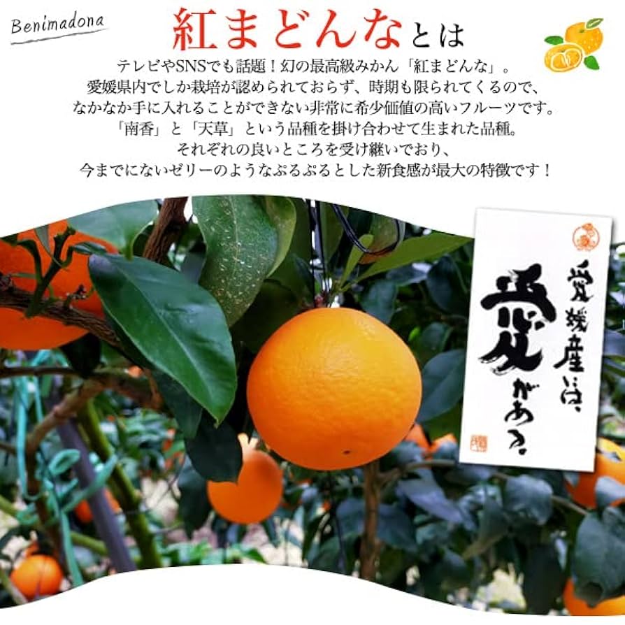 ‼️yomoko_家庭用まどんな5kg3箱@愛媛県産 Amazon.co.jp: 紅まどんな 家庭用 【 約5kg 】 愛媛県産 幻の 最