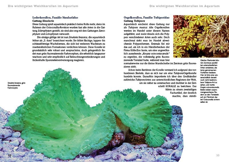 Weichkorallen im Meerwasseraquarium: Pflege und Vermehrung (Buchreihe Art für Art Meerwasser)