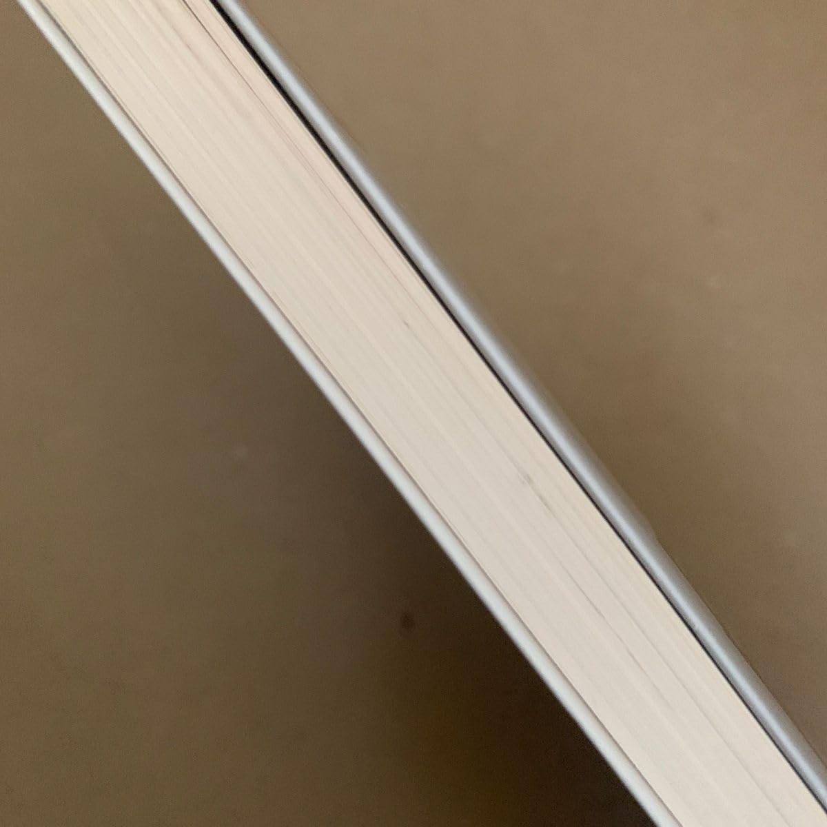 Amazon.co.jp: SUNNY 強い気持ち 強い愛 （幻冬舎文庫 く－22