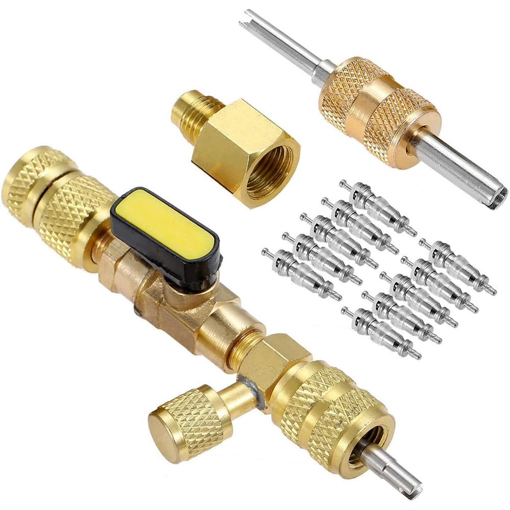 Riloer 1 set di strumenti di rimozione e installazione del nucleo della valvola, filettatura 1/4" e 5/16" SAE per aria condizionata R22/R134/R410/R32