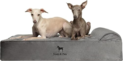 NOAH & PAW Cama grande para perro, 35 x 25 x 11 pulgadas, camas ortopédicas para perros, espuma viscoelástica de cáscara de huevo con gel