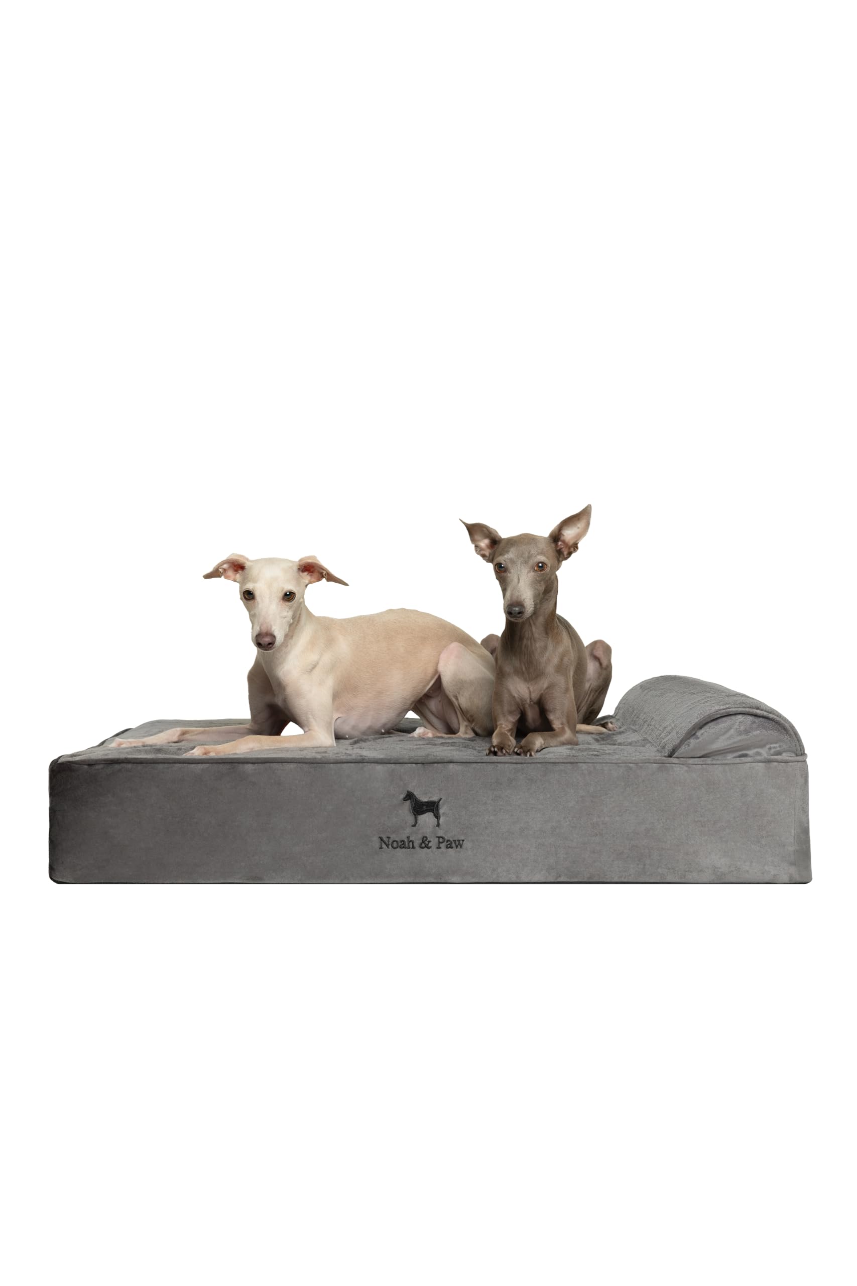 NOAH & PAW Large Dog Bed, 35x25x8.7 Inch, Orthopedic Dog Beds, Eggshell Memory Foam Infused with Cooling Gel