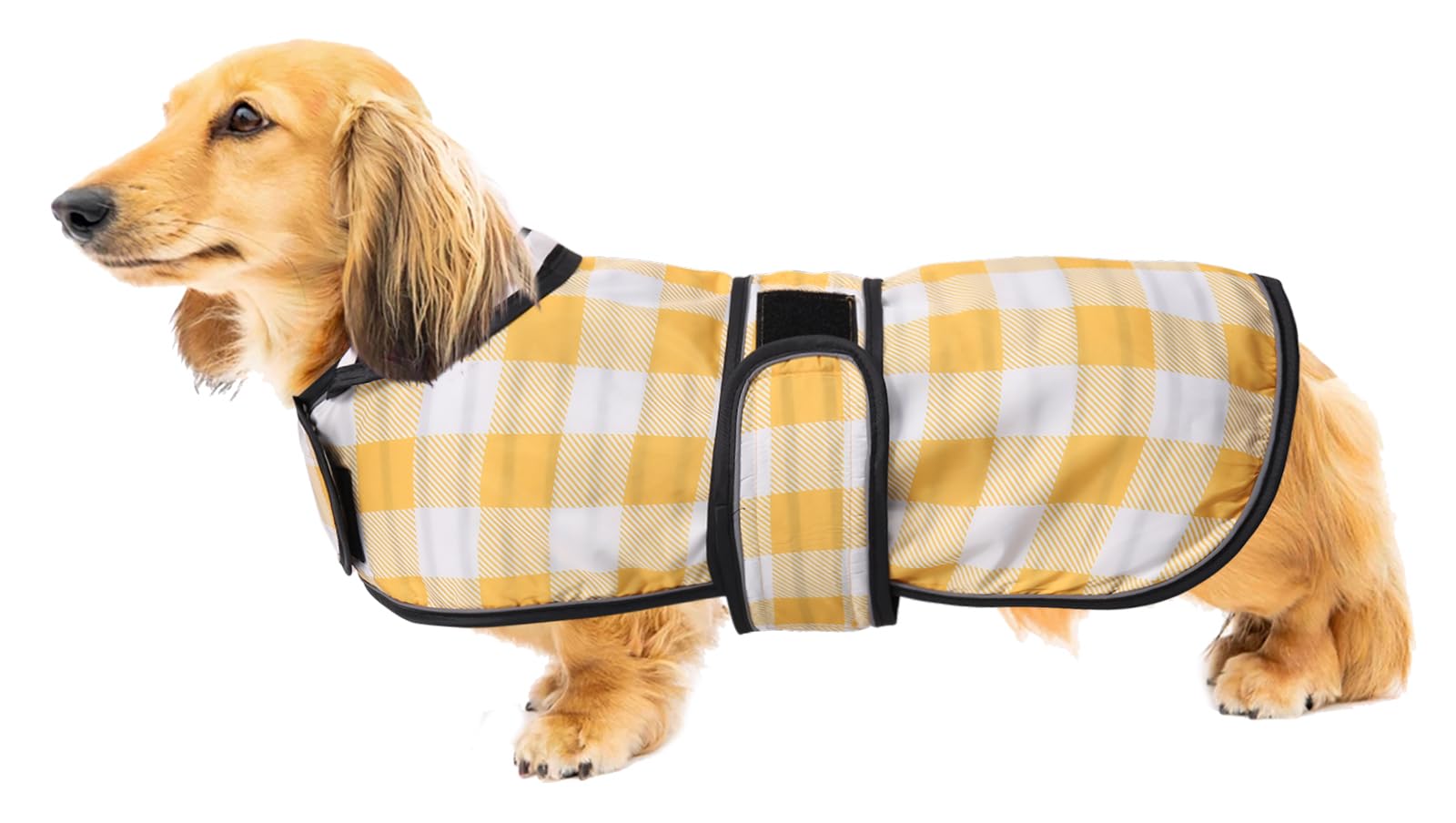 Imperméable veste pour chien teckel léger ajustable jaune