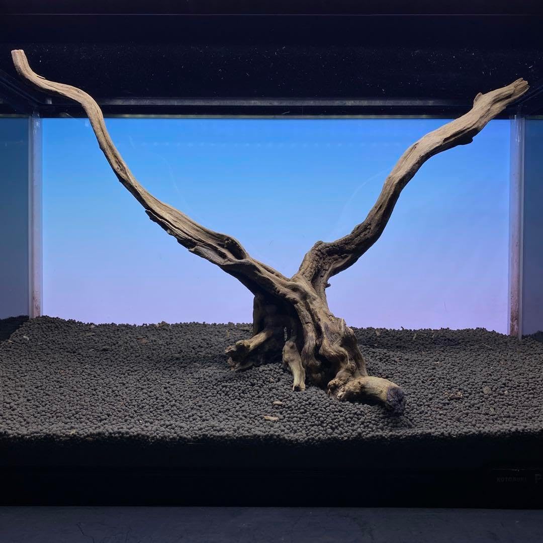 MSRW-6834 天然流木レイアウトセット スリムウッド アクアリウム MMW