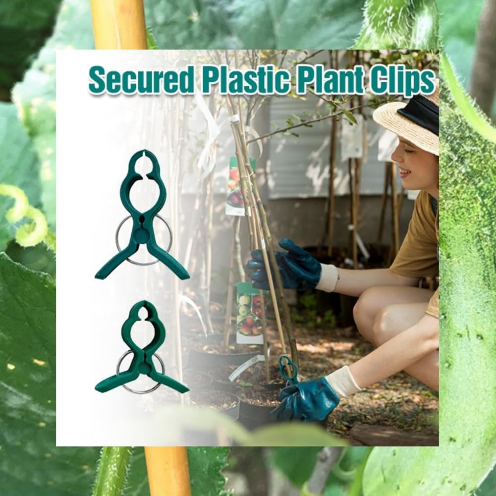 KeuLen Tuteur for fraisiers, Clips Fixes en Plastique, Clips de Support for Plantes grimpantes, Clips Fixes for vignes de Jardin