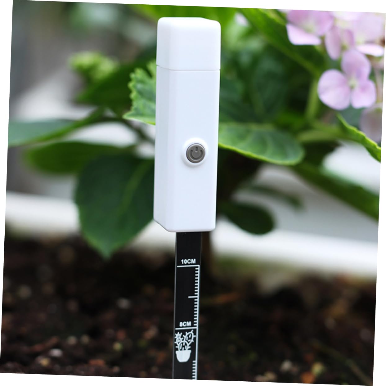 HEMOTON 5 Pièces Humidimètre pour Plantes Outil de Mesure Humidité Détection Précise pour Jardinage Intérieur et Extérieur et Compact pour Efficacité Plantation
