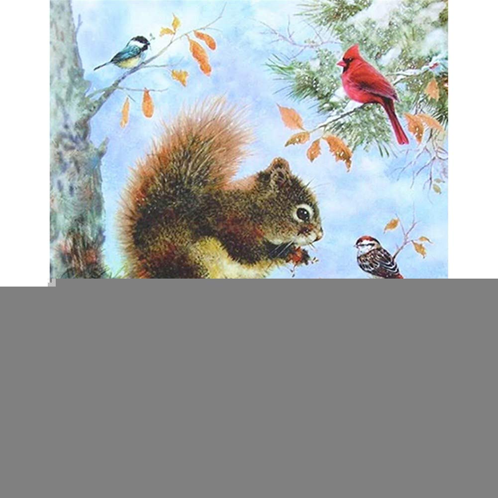Diamant Peinture Complète Oiseaux et Écureuils Kit Broderie 60x80cm