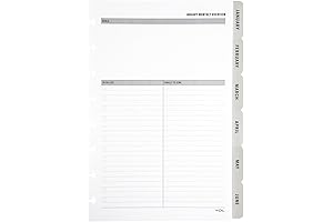 2025 TUL Discbound Monthly Planner Refill Pages with 12 Tab Dividers (Junior Size, Gray)