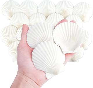 Mkobon 20 PCS 3 Inch Natural White Scallop Shells for Crafts, DIY Painting, Baking, Beach Wedding Decor & Vase Fillers