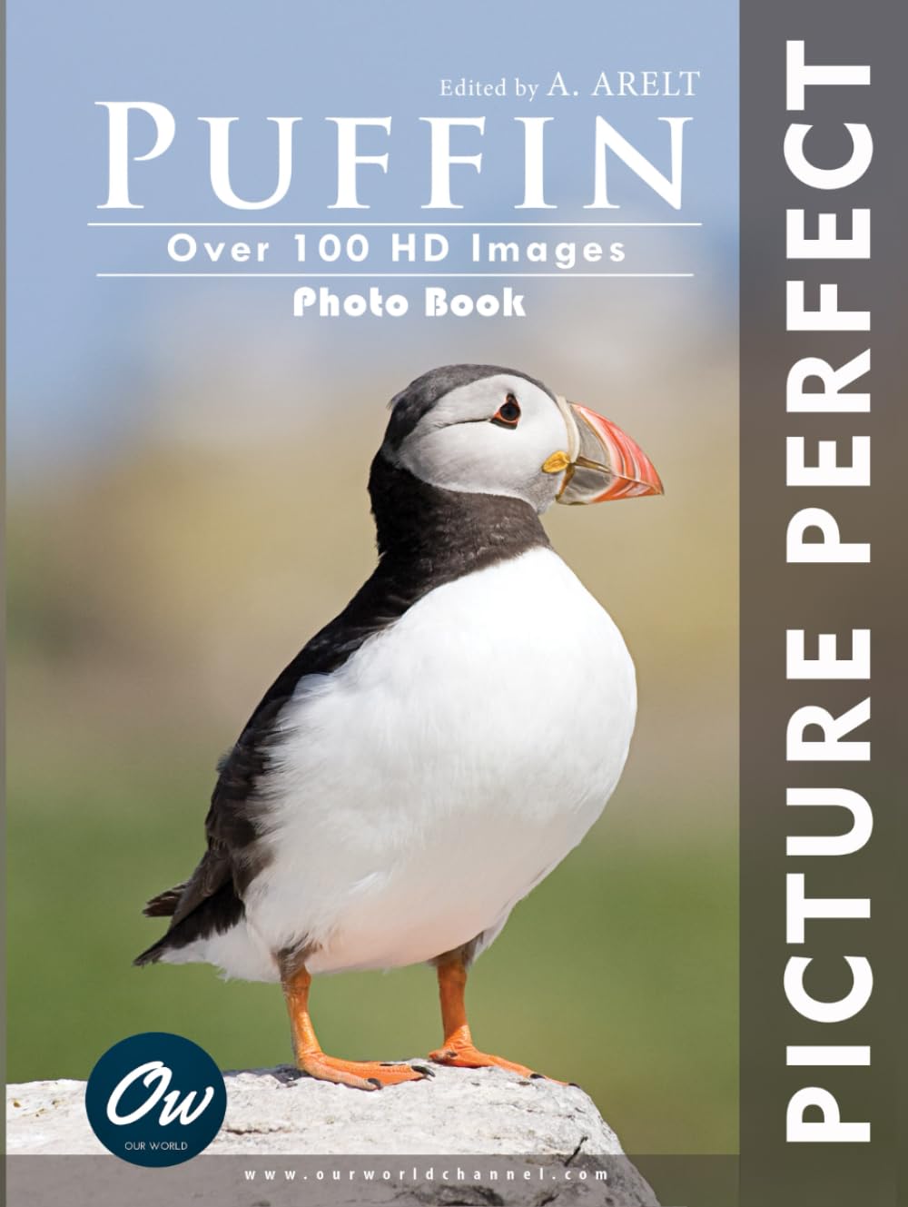 Puffin: Picture Perfect Photo Book