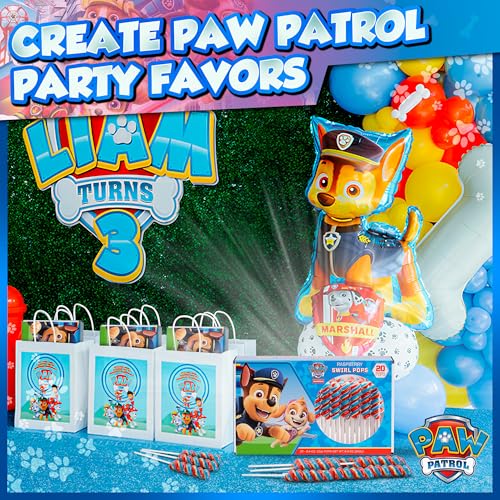 Image of Paw Patrol Lollipops Swirl 20pk- Paw Patrol Candy