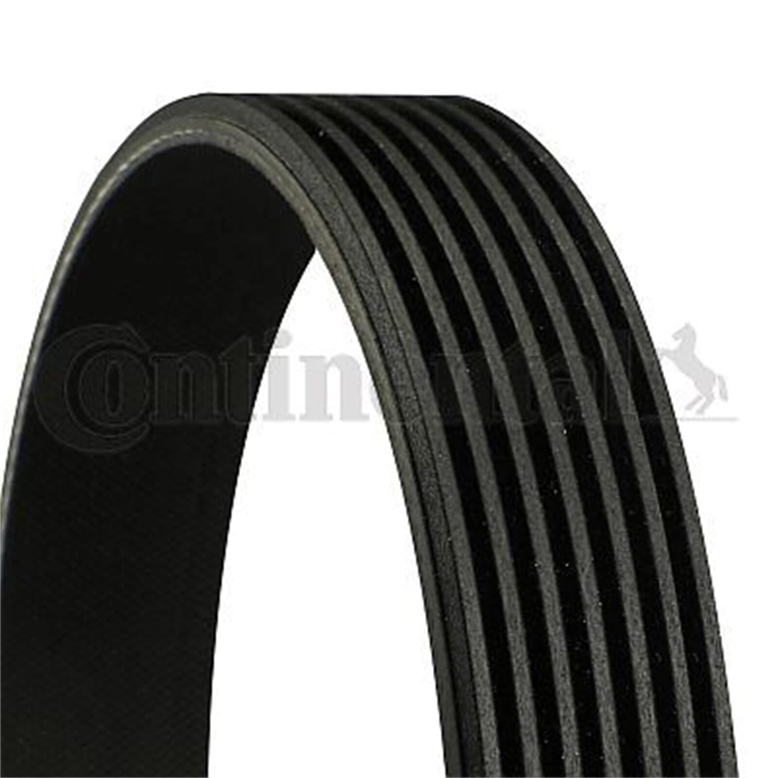 CONTITECH 7PK1165 Cinghie Trapeiz