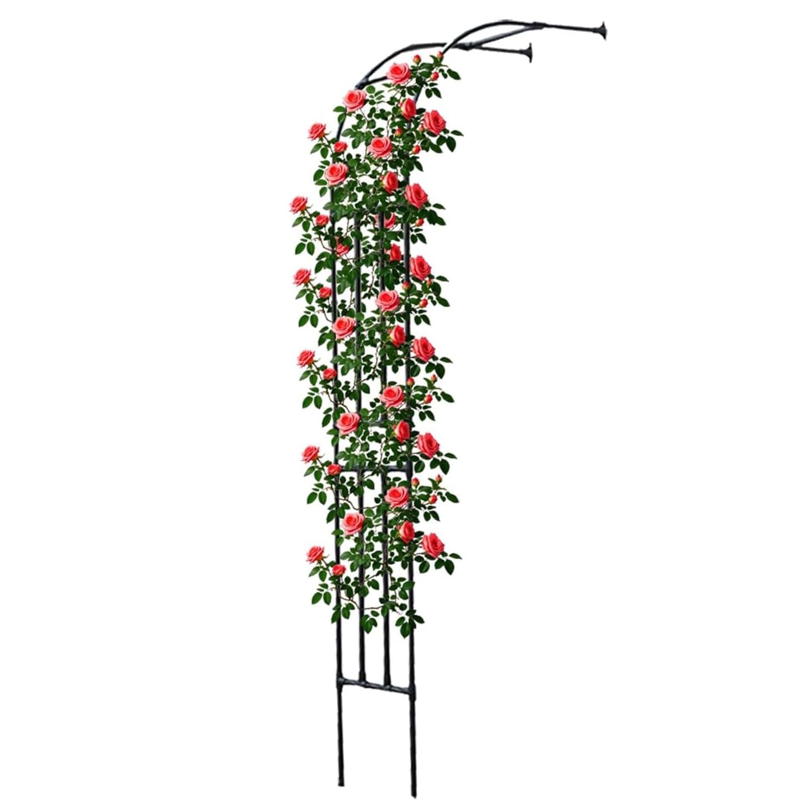Arche de jardin treillis incurvé pour tuteurer facilement les rosiers grimpants sans encombrer