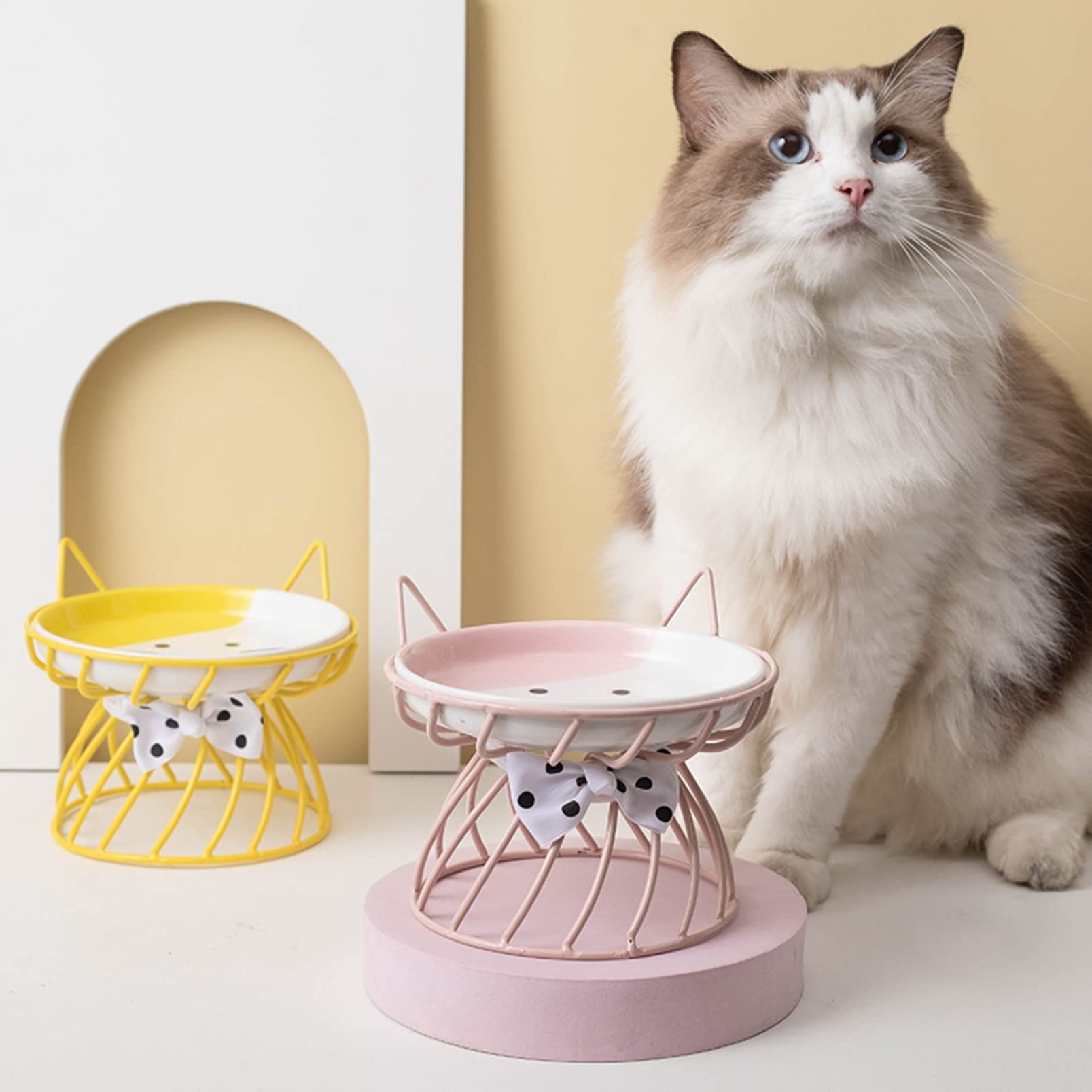 猫と犬のイラスト付き皿セット 猫と犬のイラスト付き皿セット
