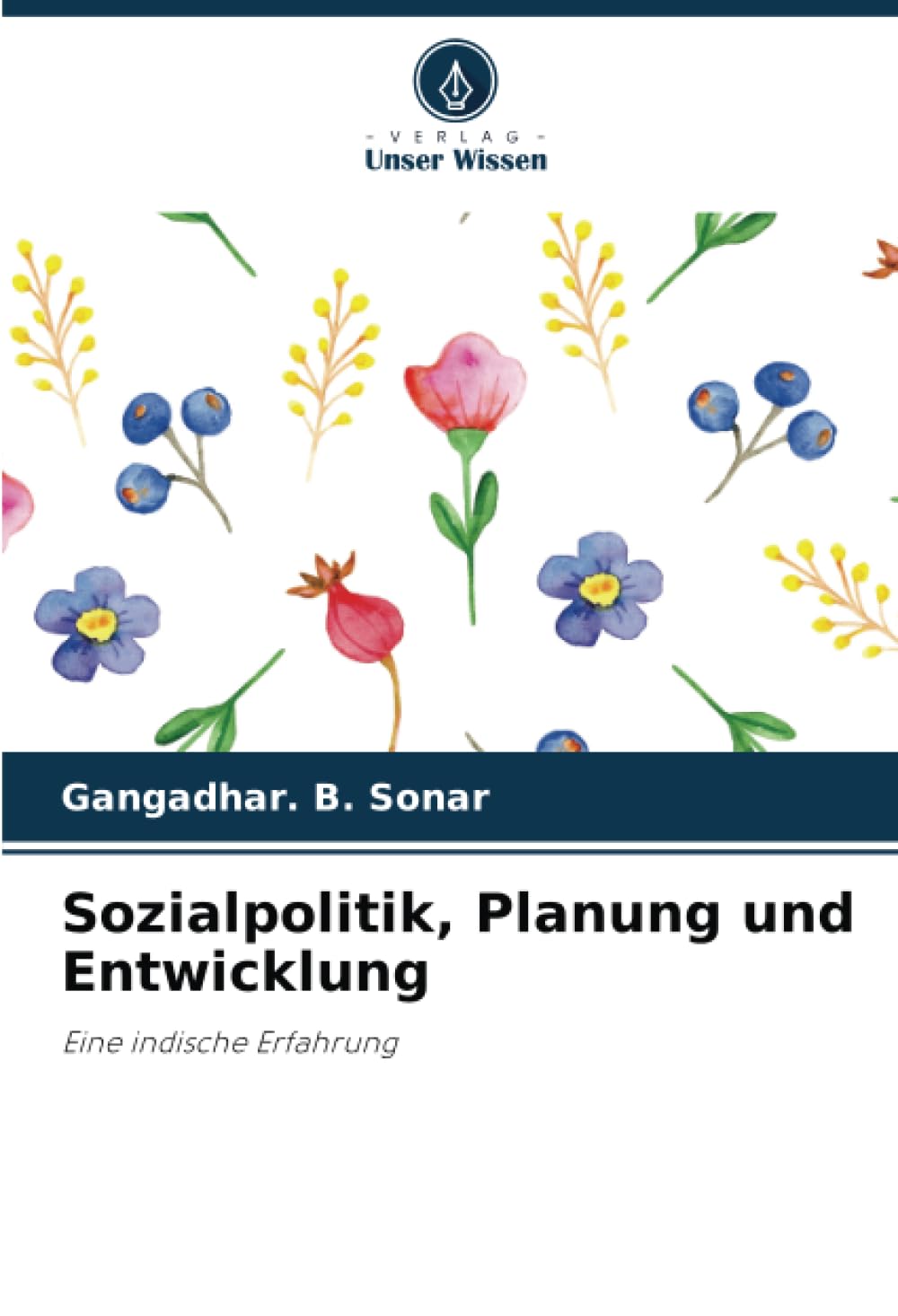 Sozialpolitik, Planung und Entwicklung: Eine indische Erfahrung