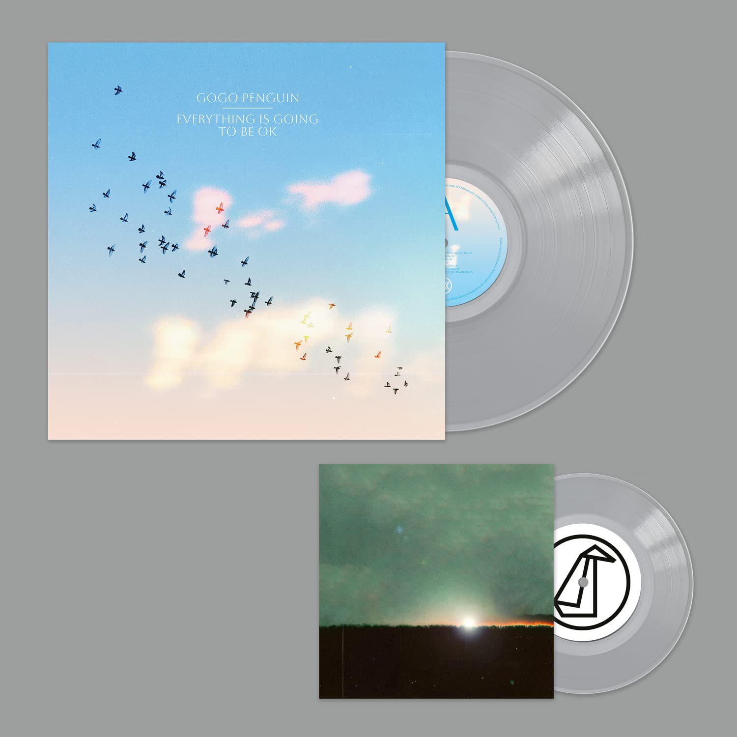 Everything Is Going To Be Ok (Deluxe Version) [VINYL]