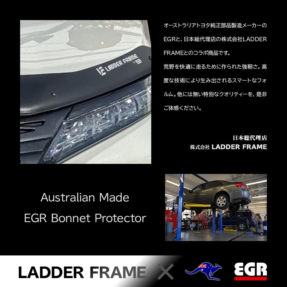 Amazon.co.jp: LADDER FRAME 代替品 バグガード MITSUBISHI デリカD5