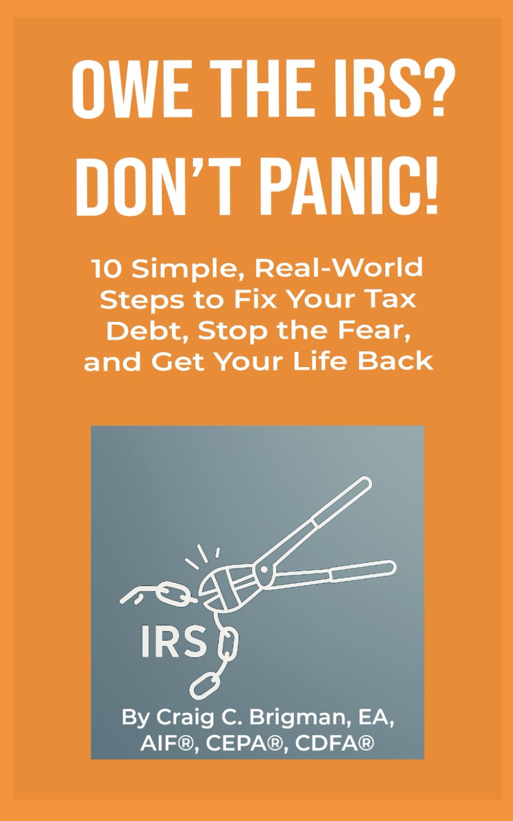 Owe the IRS? Don't Panic!: 10 Simple, Real-World Steps to Fix Your Tax Debt, Stop the Fear, and Get Your Life Back